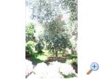 Appartements Krk-Hydrangea - ostrov Krk Croatie