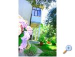 Appartements Krk-Hydrangea - ostrov Krk Croatie