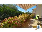Appartements Krk-Hydrangea - ostrov Krk Croatie