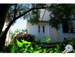 Appartements Krk-Hydrangea - ostrov Krk Croatie
