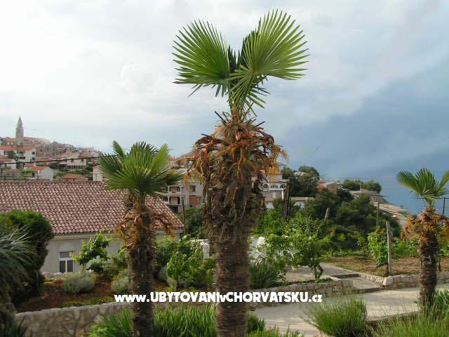 Appartements Maja – Ferienwohnung Insel Krk, Kroatien – Foto 6