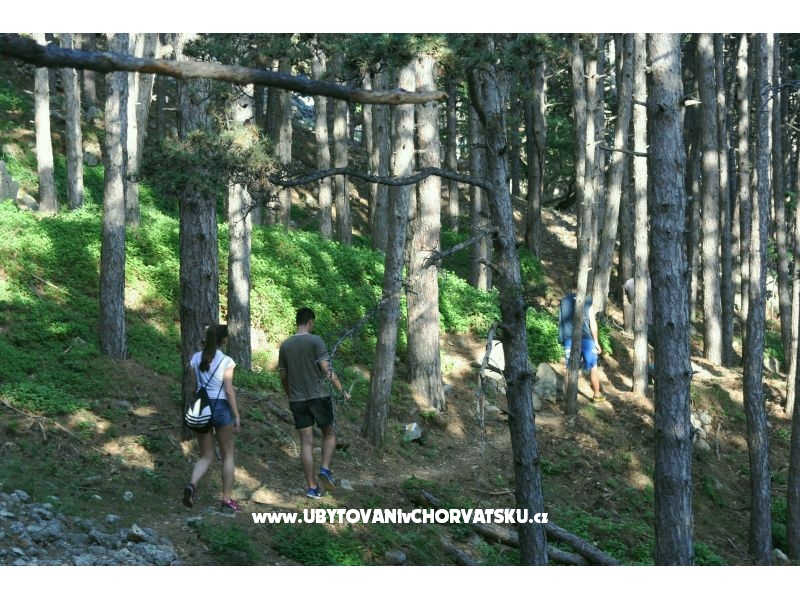 Appartement Petra  – Ferienwohnung Insel Krk, Kroatien – Foto 11