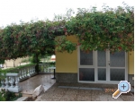 Appartements Milica - ostrov Krk Kroatien