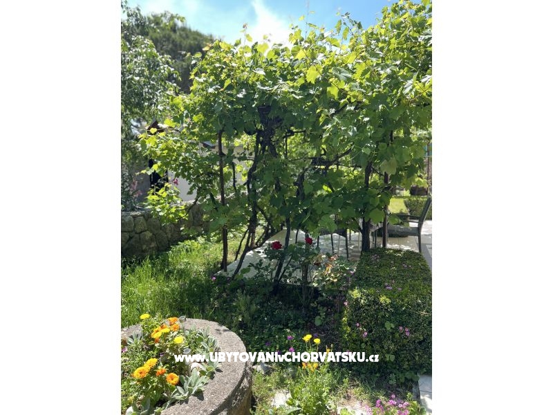 Apartmány Matea – ubytování ostrov Krk, Chorvatsko – foto 22