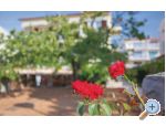 Appartements Sindii - ostrov Krk Croatie