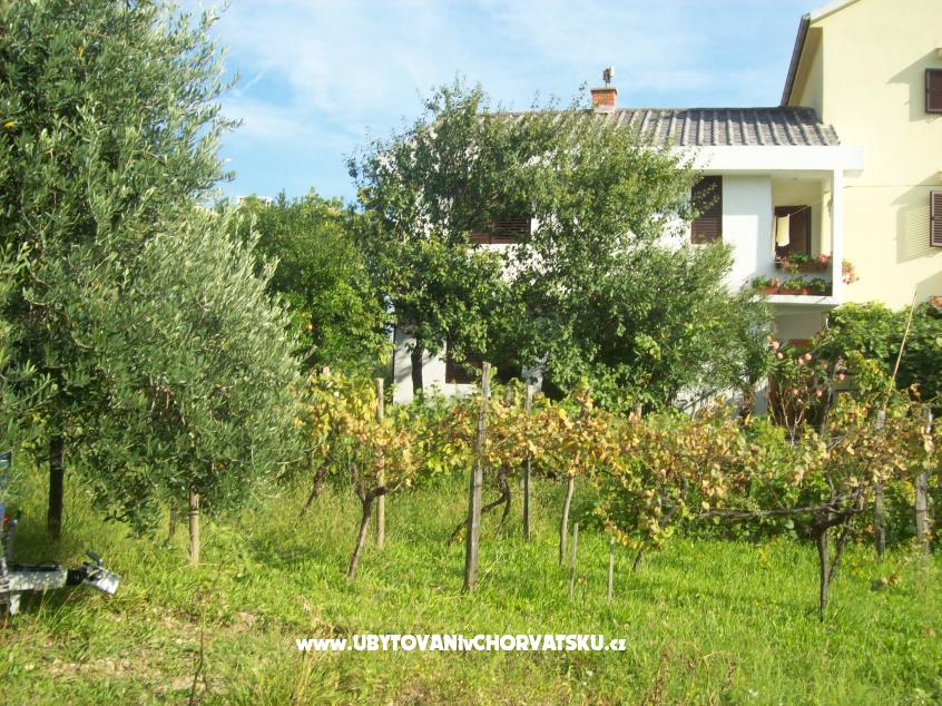 Appartements Vasilić – Ferienwohnung Insel Krk, Kroatien – Foto 1