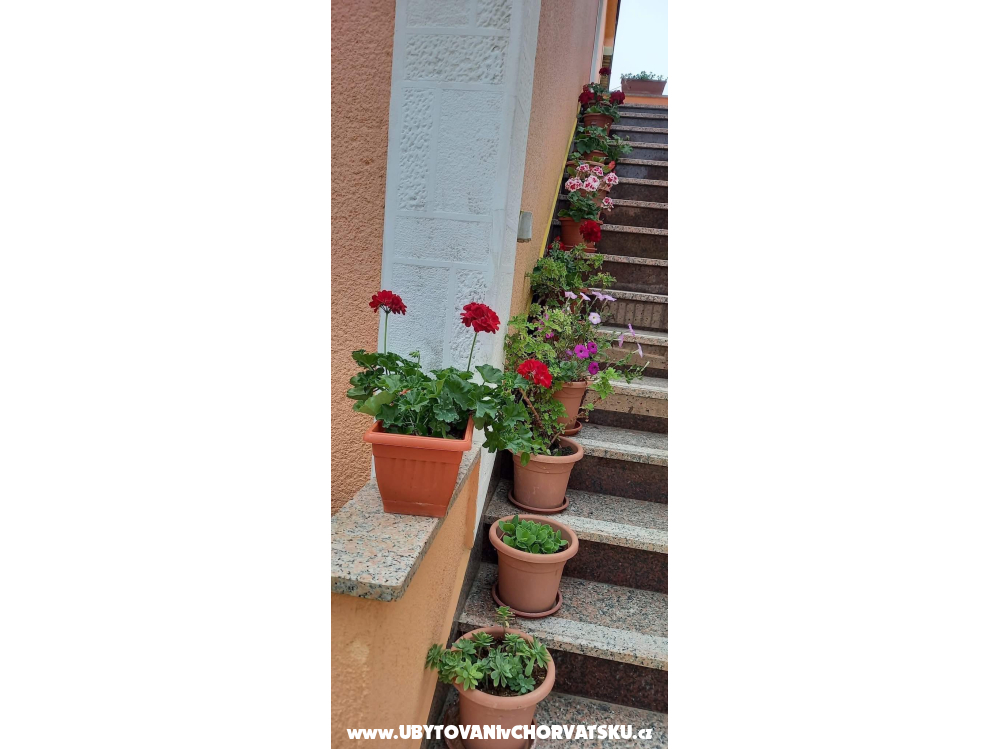 Appartements Božena - ostrov Krk Kroatien