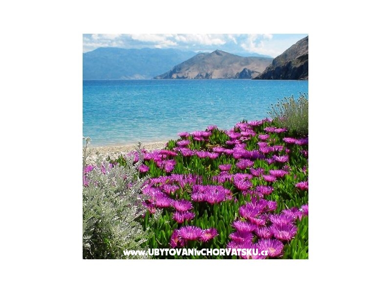 Apartmány Capic – ubytování ostrov Krk, Chorvatsko – foto 3