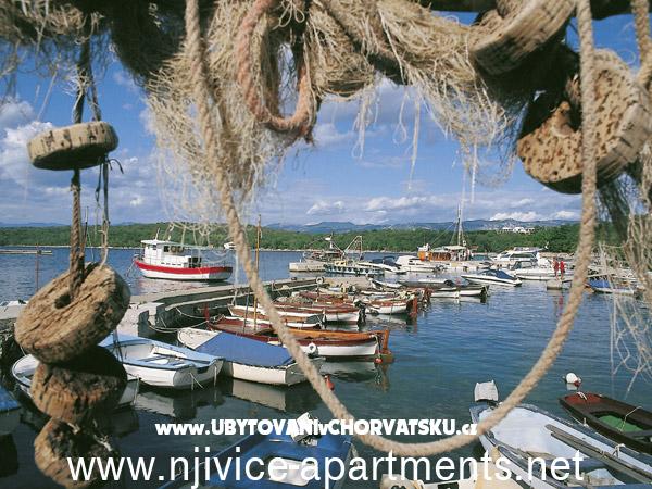 Appartements Karla  Njivice – Ferienwohnung Insel Krk, Kroatien – Foto 15