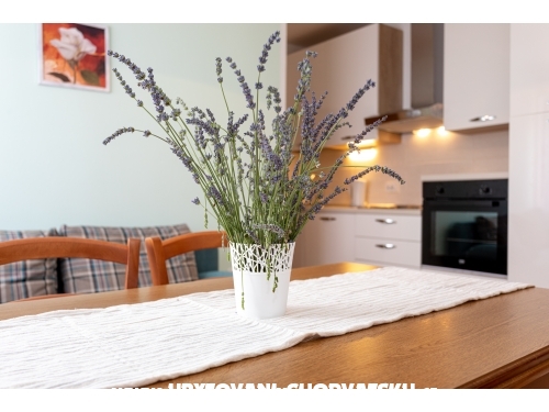Appartements Dujmovi - ostrov Krk Croatie
