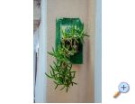 Apartmaji Funtana - ostrov Krk Hrvaka