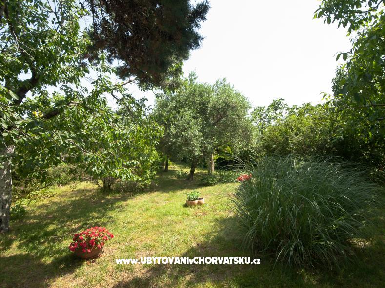 Sea Dream – Ferienwohnung Insel Krk, Kroatien – Foto 4