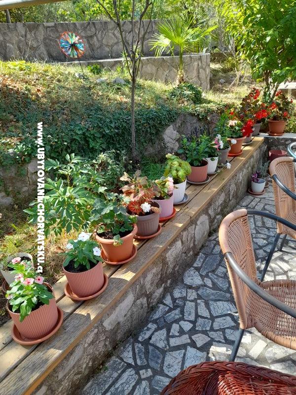 Apartmány Zana – ubytování ostrov Krk, Chorvatsko – foto 43