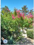 Ferienwohnungen Zana - ostrov Krk Kroatien