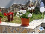 Appartements Zana - ostrov Krk Croatie