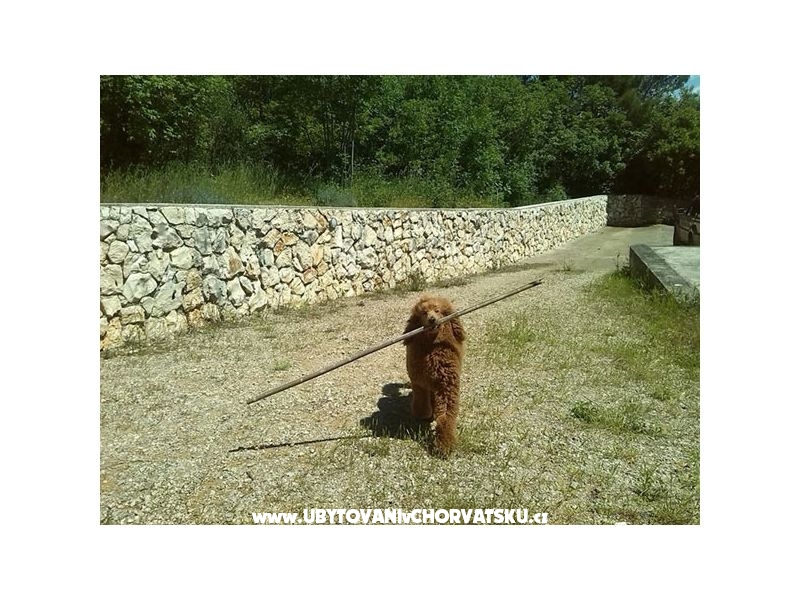 The Blue Haus Ferienwohnungen – Ferienwohnung Insel Krk, Kroatien – Foto 14