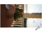 Villa Mirela B&amp;B - ostrov Krk Kroatien