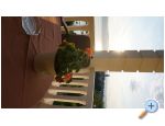 Villa Mirela B&amp;B - ostrov Krk Croatie
