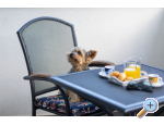 Appartements Wow Zarok - ostrov Krk Kroatien