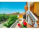 Apartmaji Fides - Labin Hrvaka