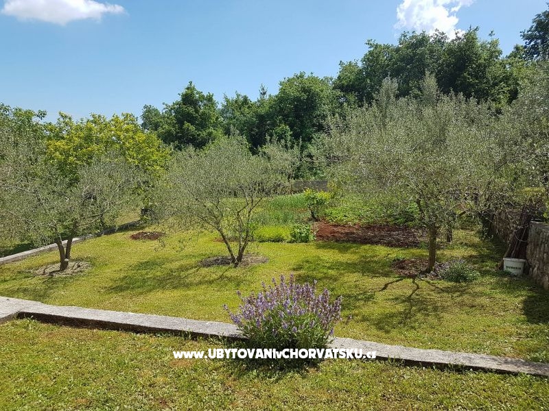 Ferienwohnungen Mariela – Ferienwohnung Labin, Kroatien – Foto 4