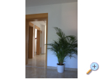 Marceline apartments - Labin Kroatien