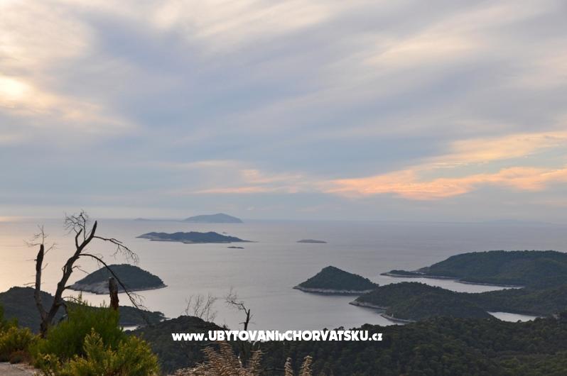 Appartements Livia – Ferienwohnung Insel Lastovo, Kroatien – Foto 2