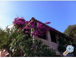 Villa Paradise - ostrov Lastovo Chorvatsko