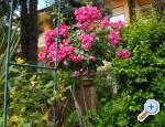 Appartement Ines - Lovran Croatie