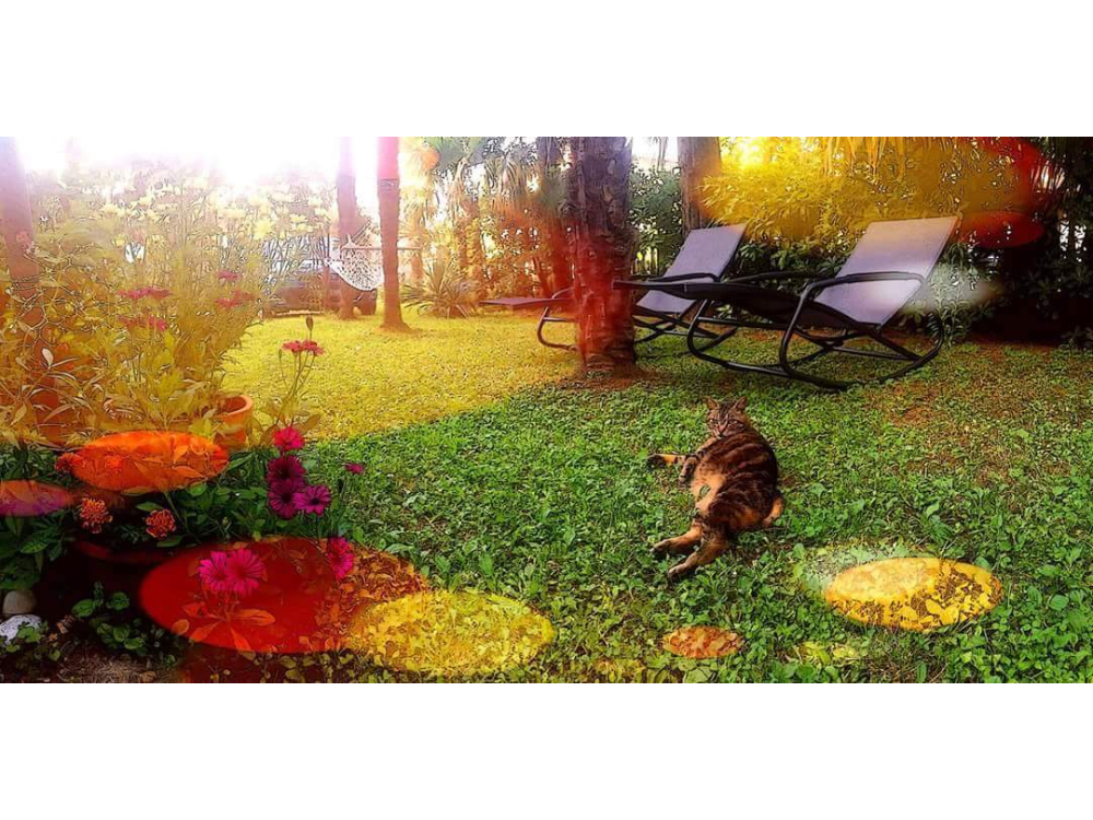 Appartements Villa Adelina - Lovran Kroatien