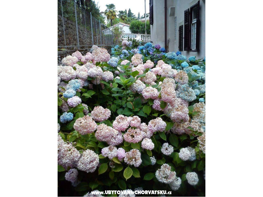 Appartements Villa Adelina - Lovran Kroatien