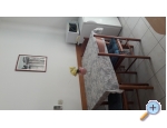 Appartements anko Milina - Lumbarda  Korula Kroatien