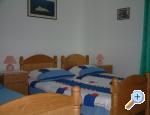 Appartements anko Milina - Lumbarda  Korula Croatie