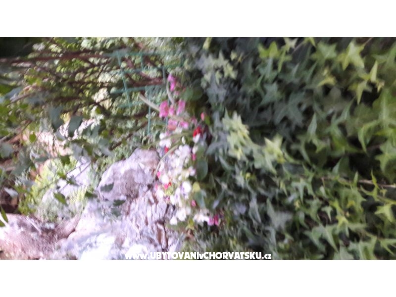 Apartment Olga – Ferienwohnung Makarska, Kroatien – Foto 10