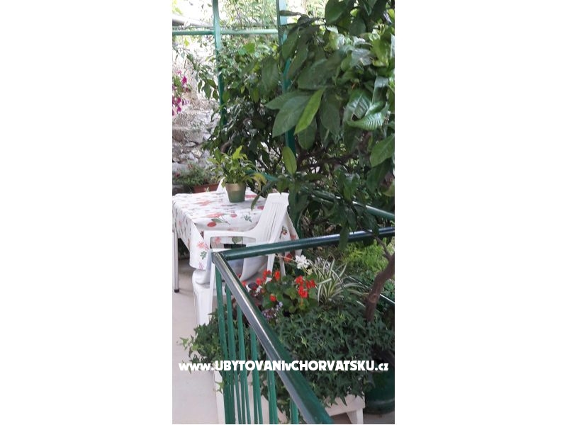 Apartment Olga – Ferienwohnung Makarska, Kroatien – Foto 11