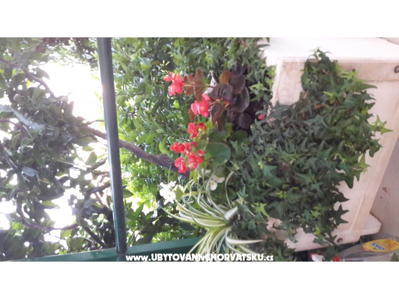 Apartment Olga – Ferienwohnung Makarska, Kroatien – Foto 9