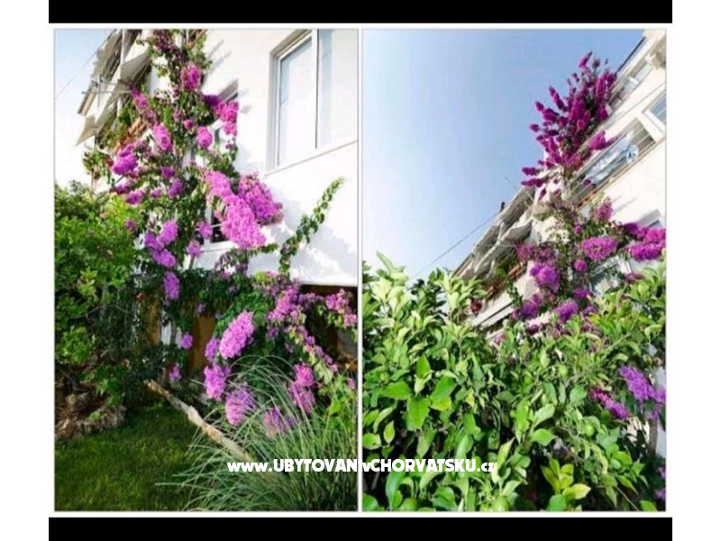 Appartements DIVIA – Ferienwohnung Makarska, Kroatien – Foto 3