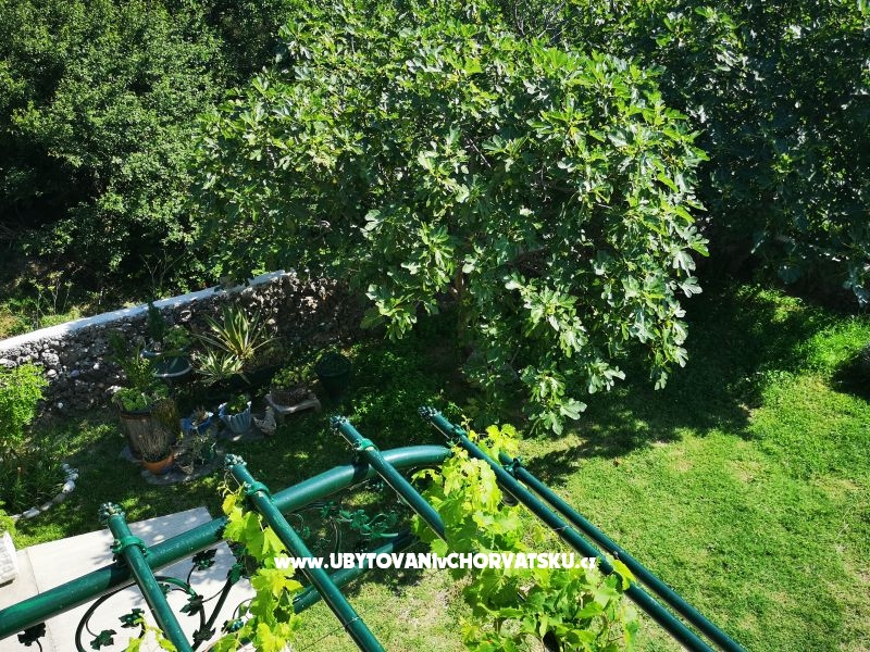 Appartements Garden paradise – Ferienwohnung Makarska, Kroatien – Foto 1