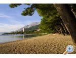 Apartmny IVO - Makarska Chorvatsko