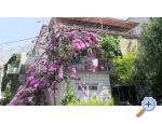 Appartements KATE - Makarska Kroatien