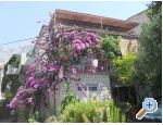 Apartmny KATE - Makarska Chorvatsko