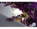 Apartmny Kruno - Makarska Chorvatsko