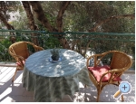 Appartements Lena - Makarska - Makarska Kroatien