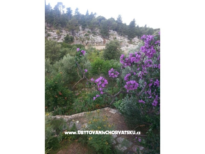 Appartements Rubinić – Ferienwohnung Makarska, Kroatien – Foto 15