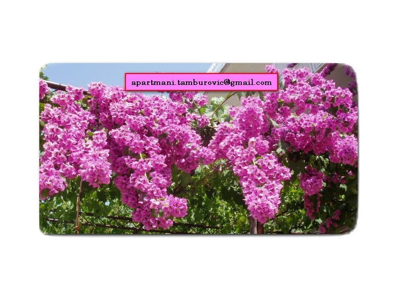 Ferienwohnungen Tamburović – Ferienwohnung Makarska, Kroatien – Foto 18