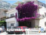Apartmny Vukovi - Makarska Chorvatsko