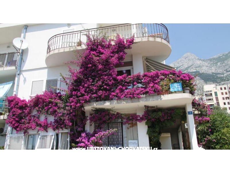 Ferienwohnungen ANTE – Ferienwohnung Makarska, Kroatien – Foto 1