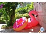 Apartmny Jele - Makarska Chorvatsko