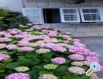Apartmny Jele - Makarska Chorvatsko
