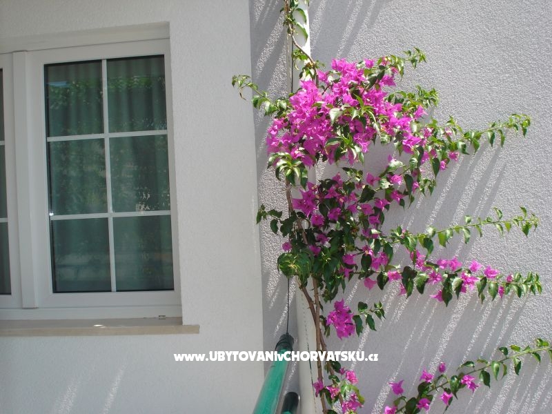 Apartmány Milic – ubytování Makarska, Chorvatsko – foto 16